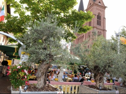 Foto: Bei Josef